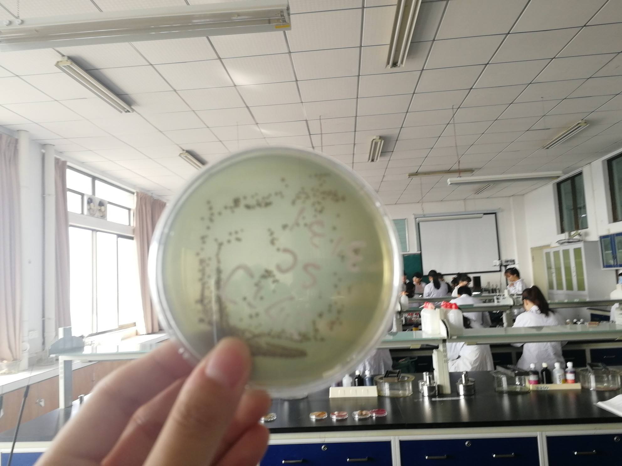 可生食鸡蛋的正确食用方法,达到可生食标准的鸡蛋可以生吃吗