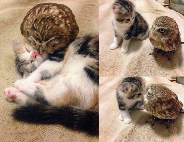 100个难得一见的照片,106个难得一见的照片