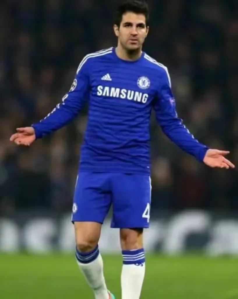 塞斯克法布雷加斯的师傅,弗朗塞斯克法布雷加斯