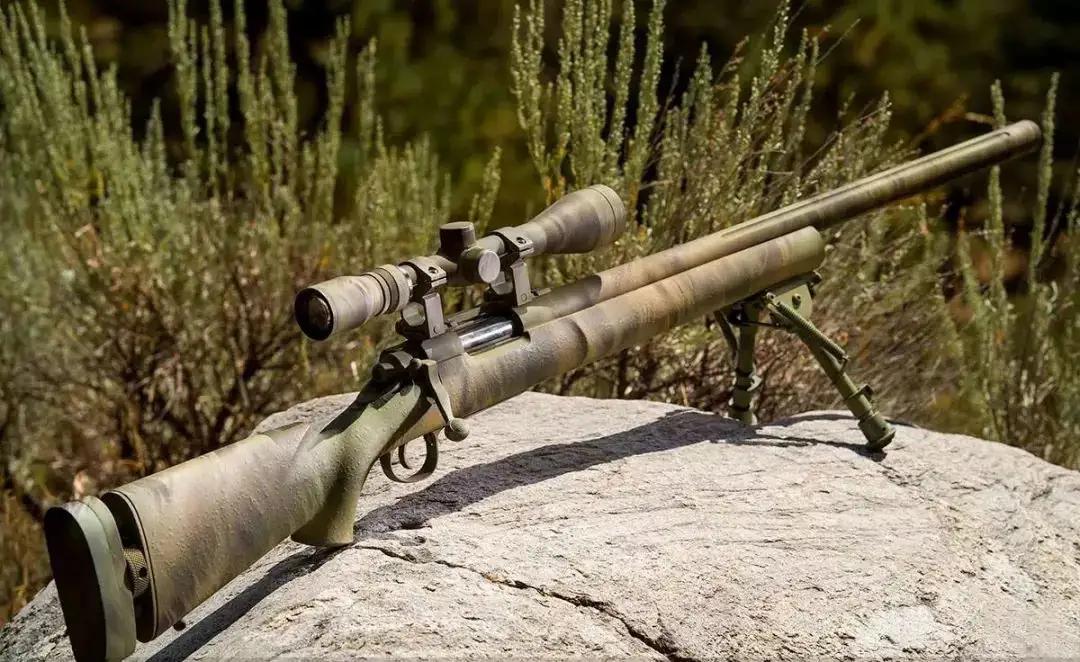 台当局求购先进*击狙**枪，英国外交部拒发许可，台官员称因忌惮大陆