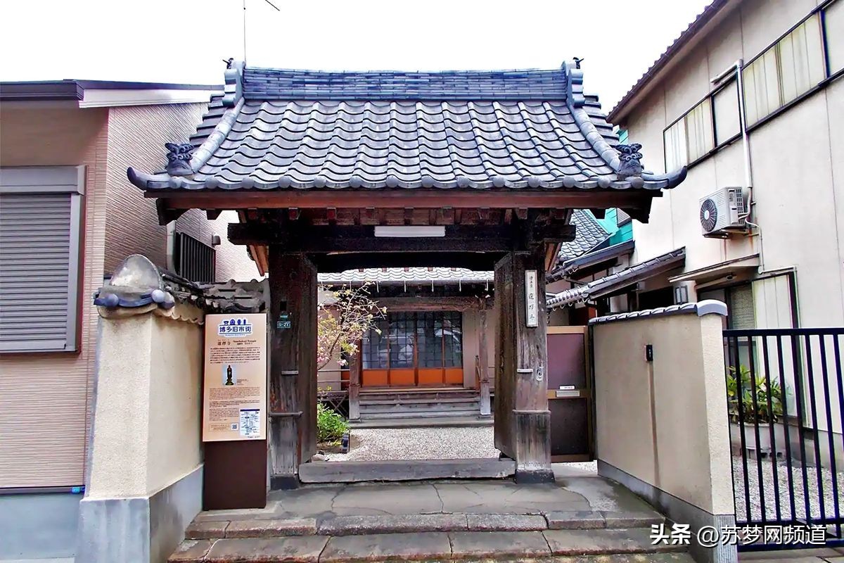 绂忓唸kota,绂忓唸zumba