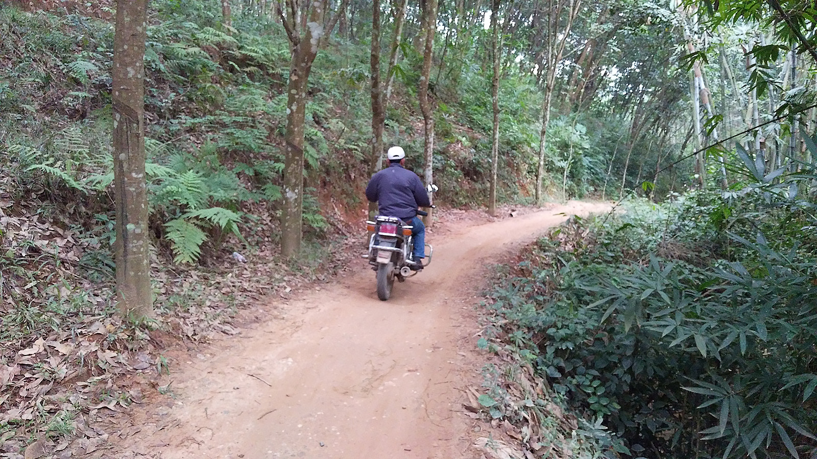 初哥视频,初哥延边烧烤