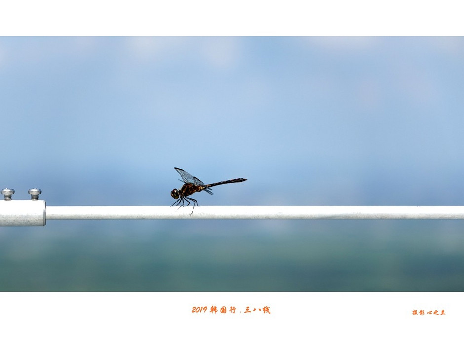 韩国行vlog全记录,韩国行摄