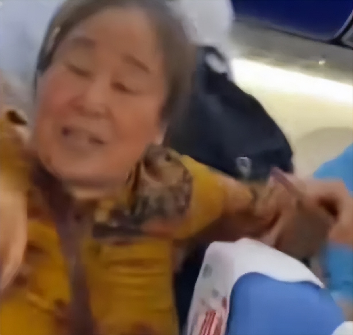 东北大妈飞机上辱骂女子,东北大妈飞机上辱骂女子后续