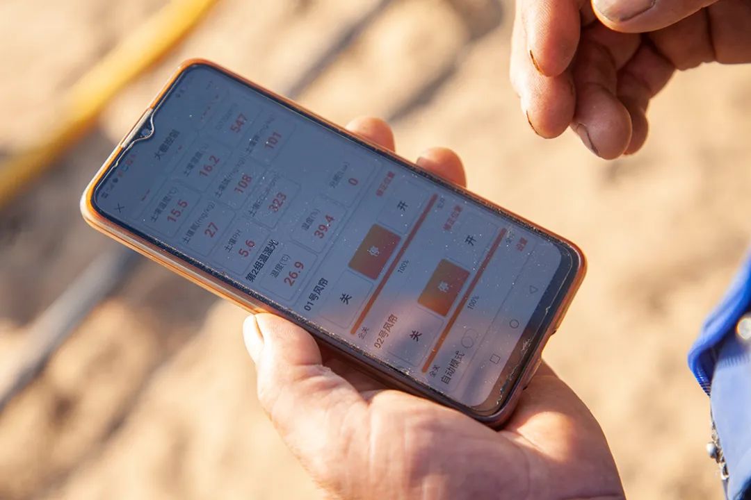【基层社会治理】“数字乡村+一乡镇一品牌”▏马合镇：发展智慧农业，建设数字乡村，打造乡村振兴新高地