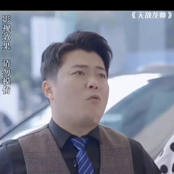 无敌龙帅电视剧免费看合集,无敌龙帅101集