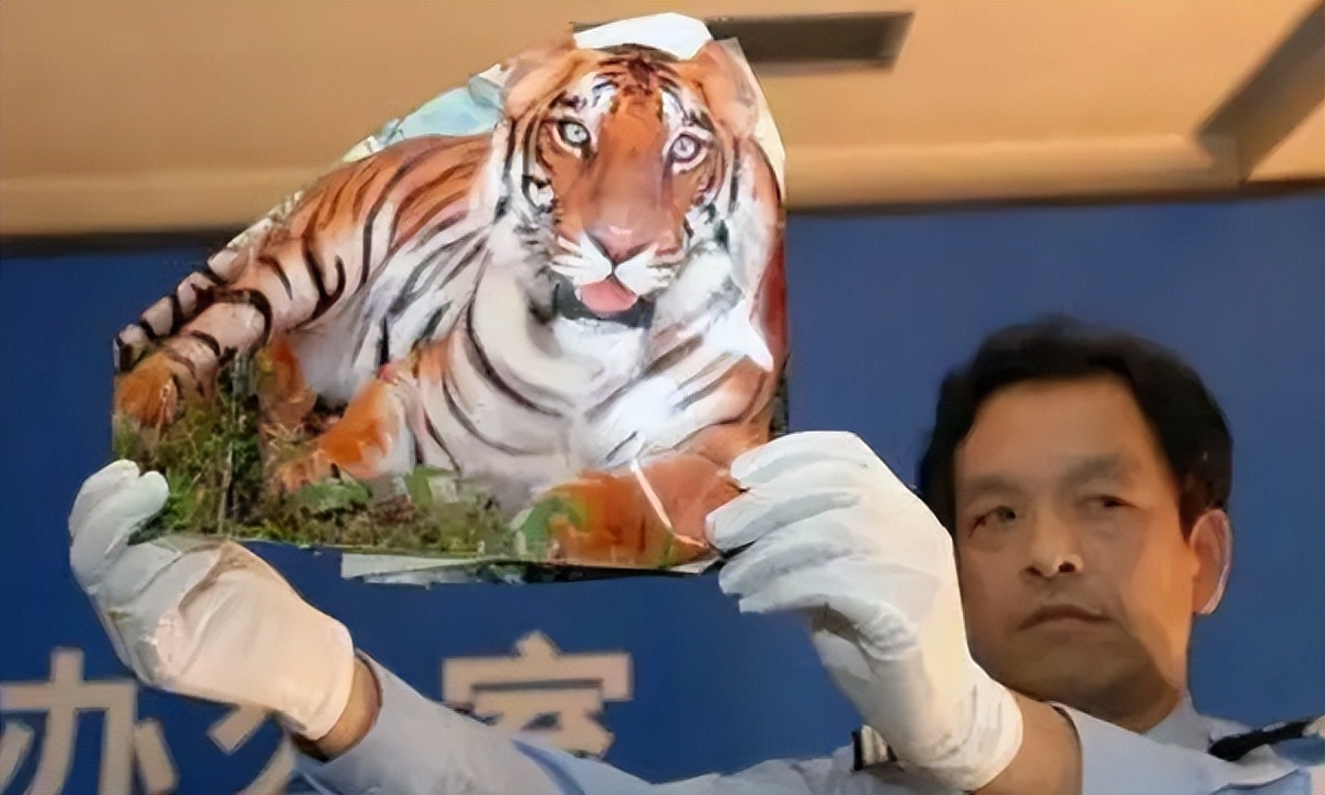 周正龙诈骗案判几年,周正龙的华南虎事件一审判决书