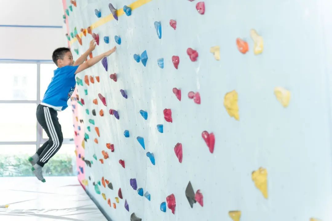 开展政府开放日活动的意义,政府开放日活动意义