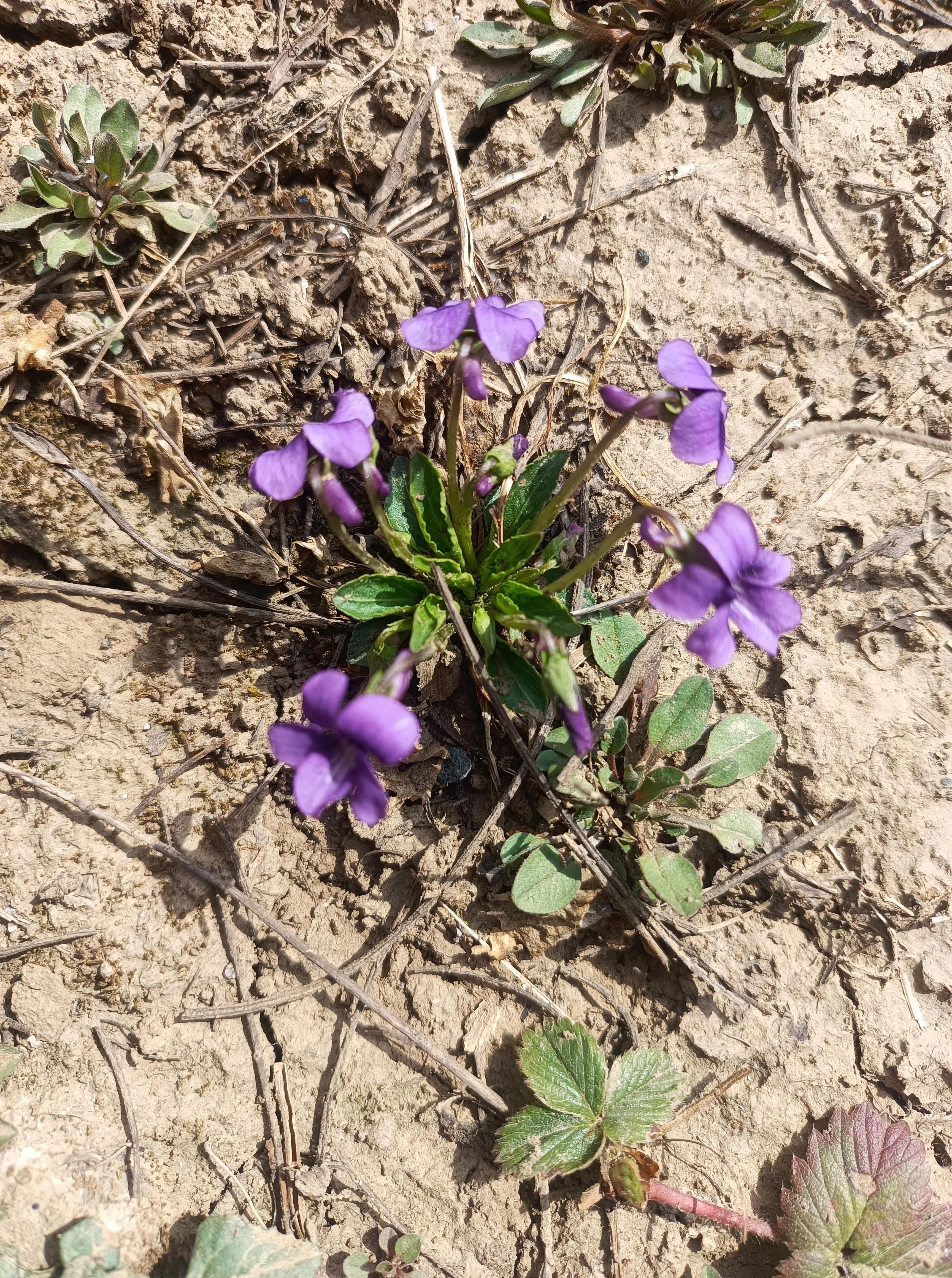 听音乐是最好的用英语怎么说,听音乐的英语应该怎么说