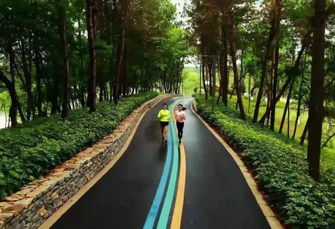 推进绿色生态建设,高质量推进公园城市建设