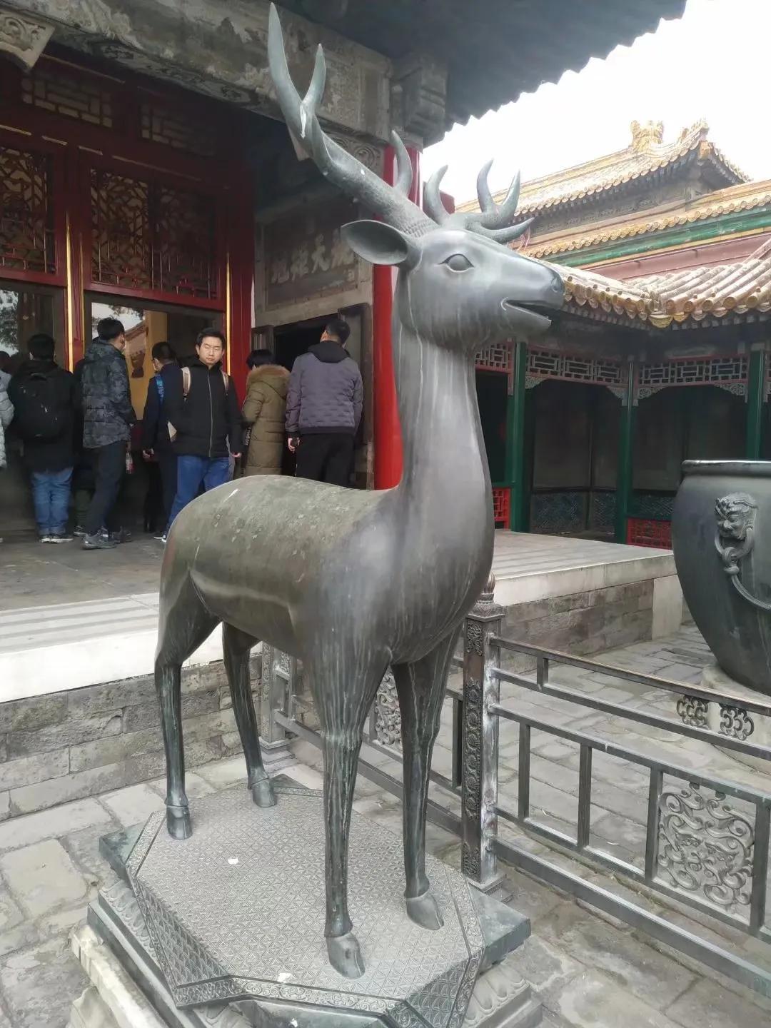 故宫一日游游玩攻略最佳路线,故宫一日游参观路线图及说明