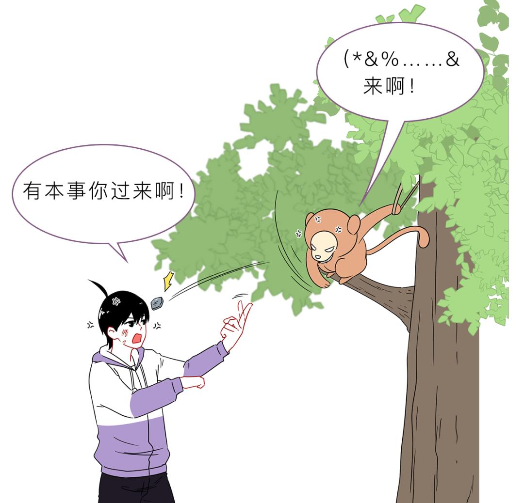 被峨眉山猴子打可以反击吗,峨眉山猴子被人类反杀