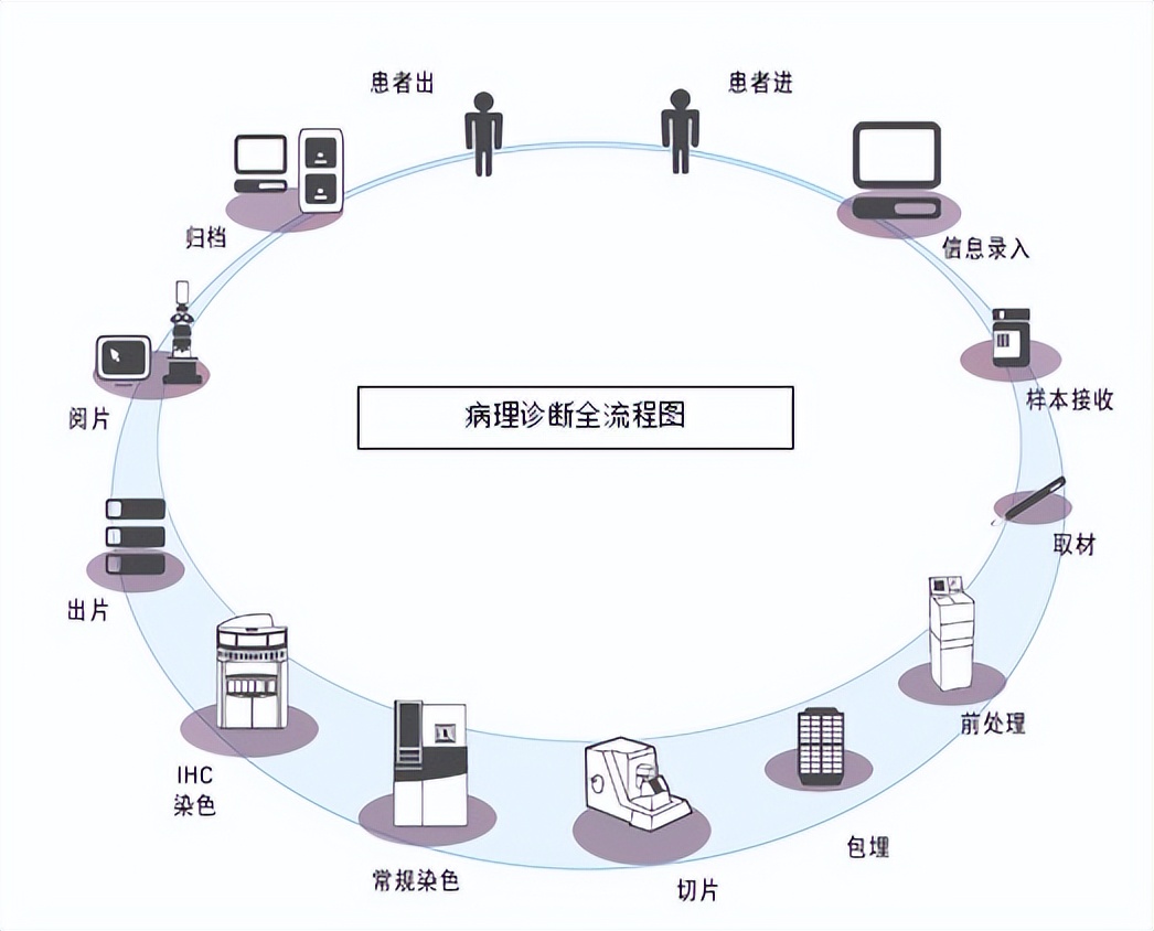 病理检查一般是什么检查,胚胎病理检查是查什么