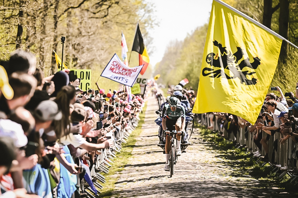 疫情之下自行车行业巨头还能割多久韭菜？