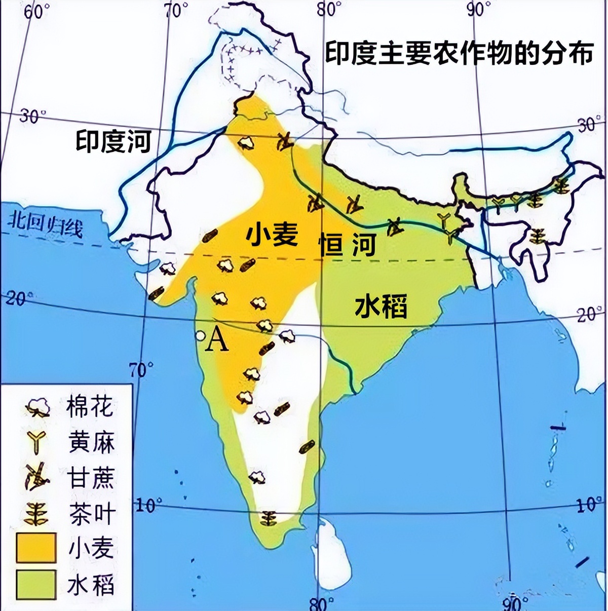 印度为什么会超过美国,印度和美国哪个面积大