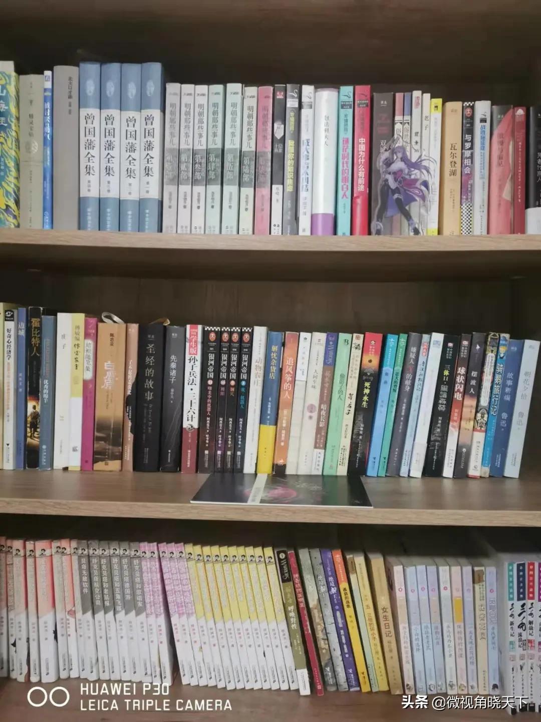 羊山外国语小学杨贵勤,信阳市羊山外国语小学杨贵勤