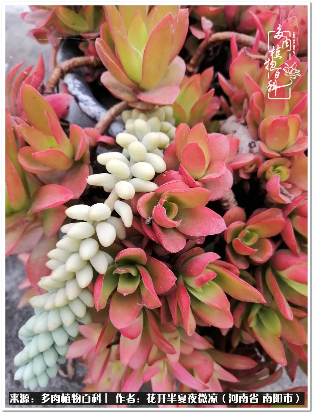 万事开头难只要坚持才有收获,万事开头难只要肯干就会有结果