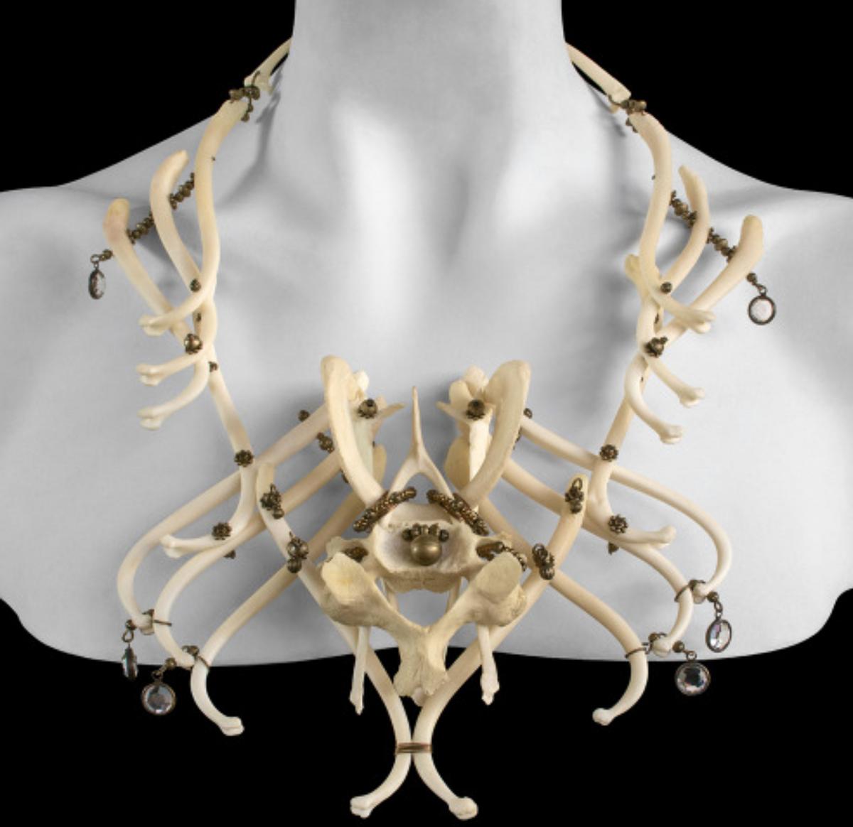 人类生殖器是何时进化,男性人类原始时期肌肉有多大