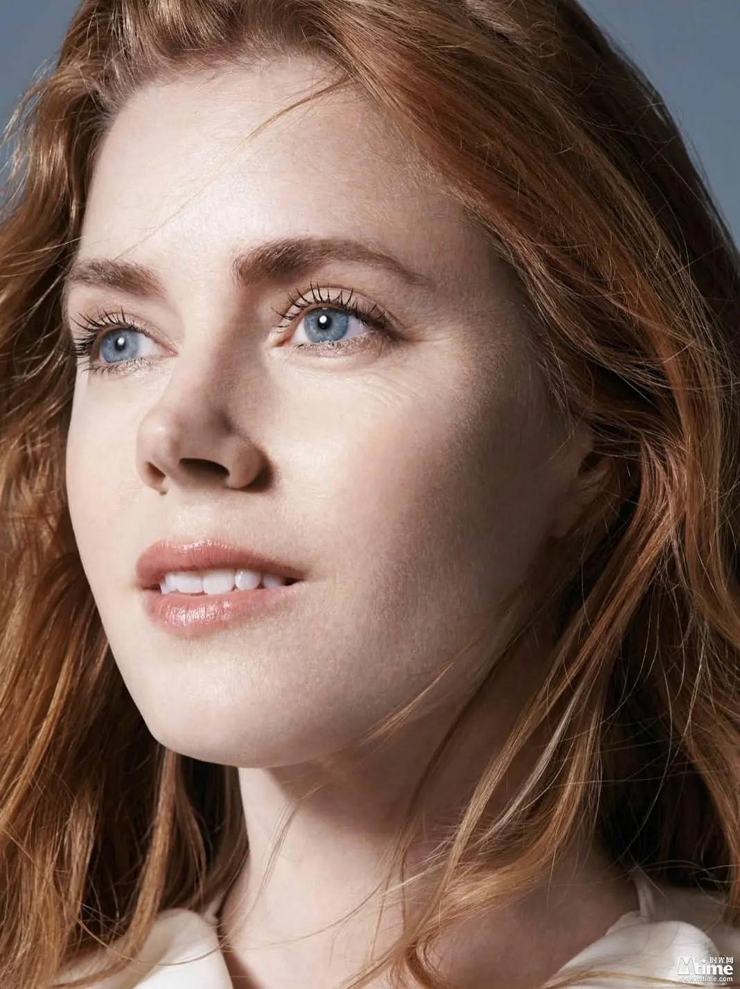 小李子艾米亚当斯,艾米亚当斯跟小李子