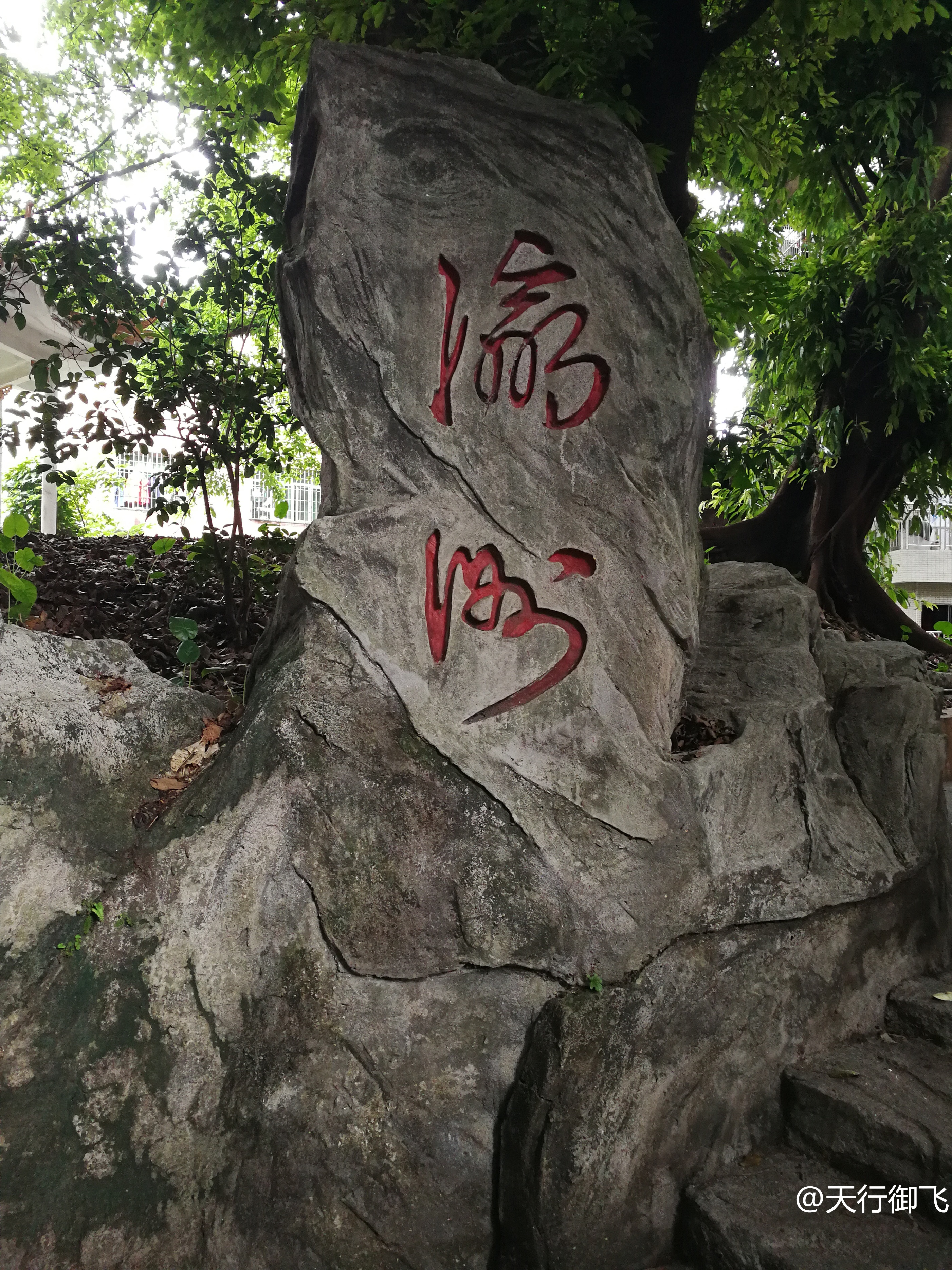 小洲村旅游景点地图,小洲村一日游最佳攻略