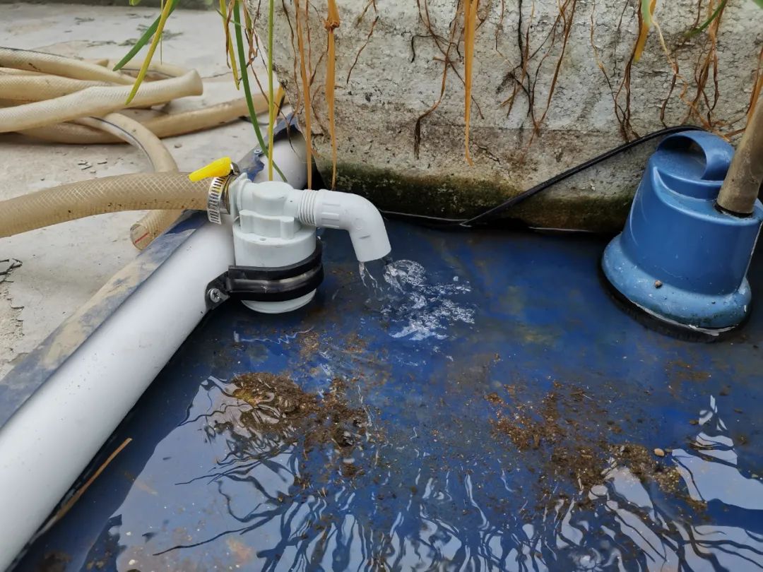 浅池二培,浅池厌氧