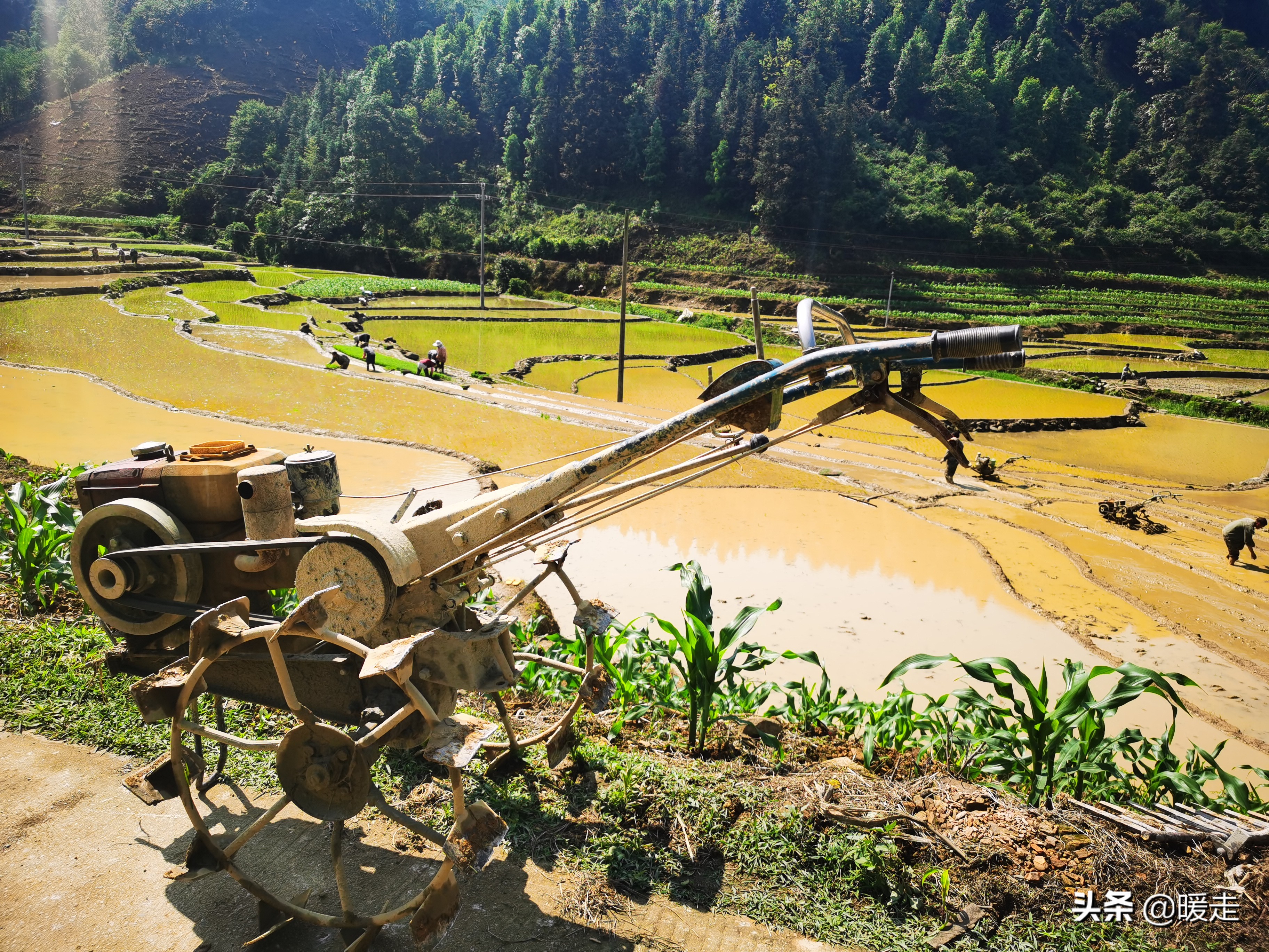 广西农民种田,乡村种田的生活视频