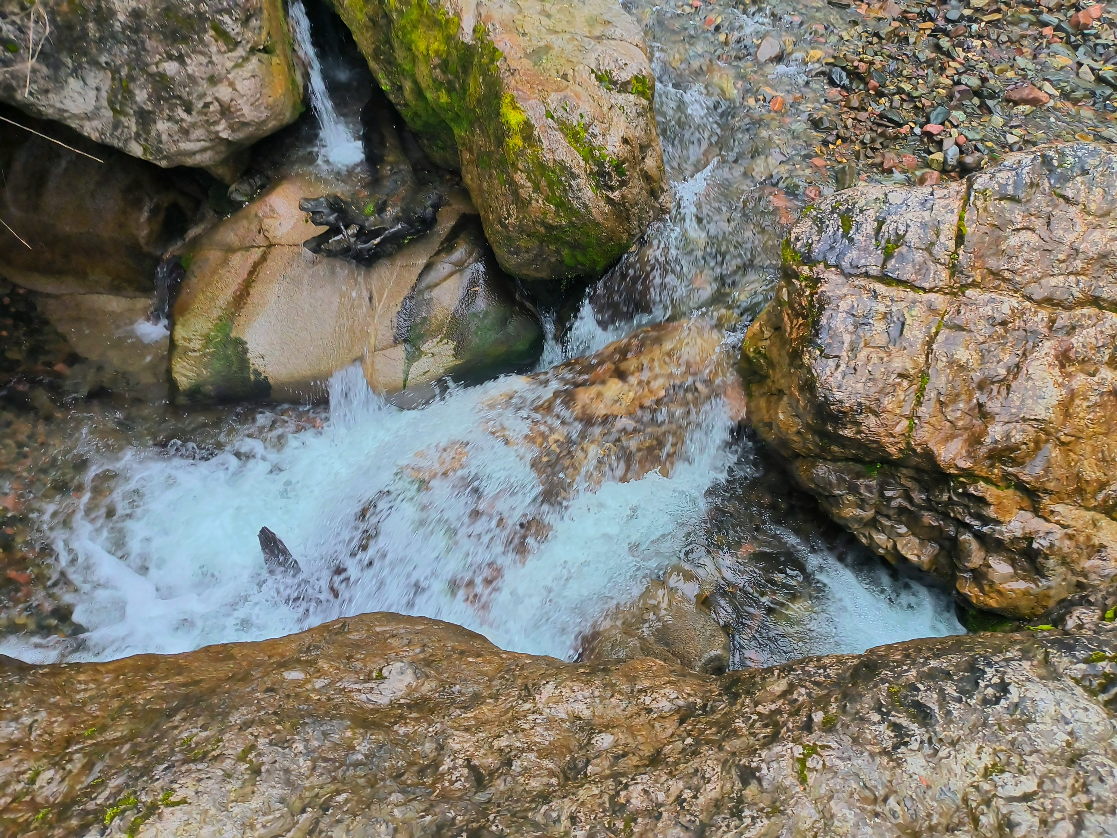 王文才：西川严道方言故事（之十二）