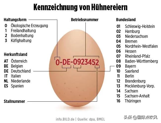 德国战败后为什么崛起这么快,德国战败后为什么又崛起了