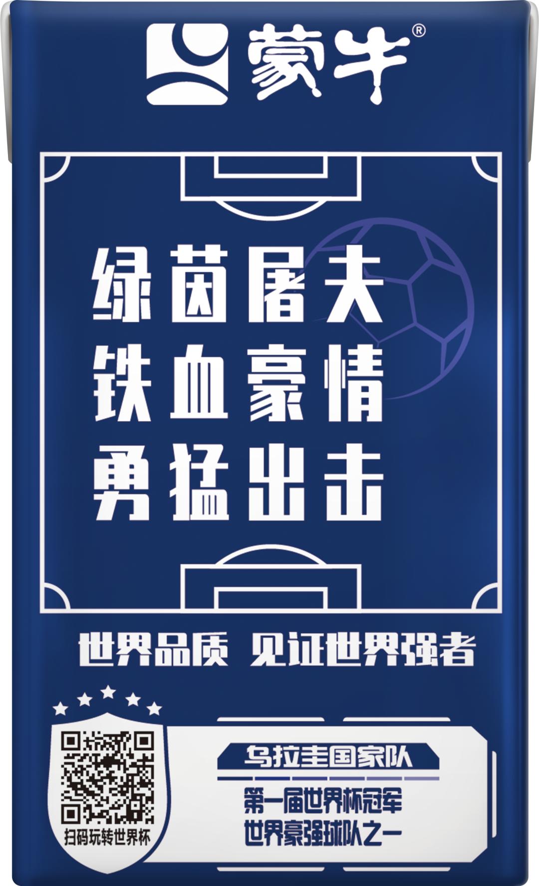 世界杯足球员故事,世界杯队长纪录片第四集