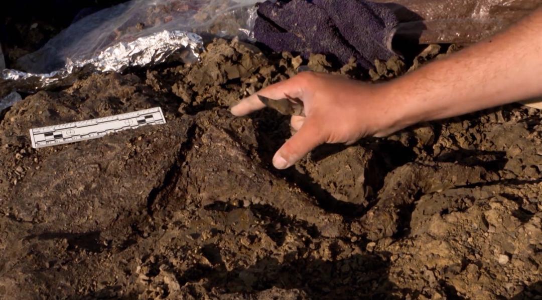 2022年十大必看大片,2022年最震撼视频