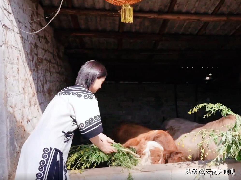 曾经的偶像剧女主,如今变短视频博主,陈彦妃在云南边玩边做公益