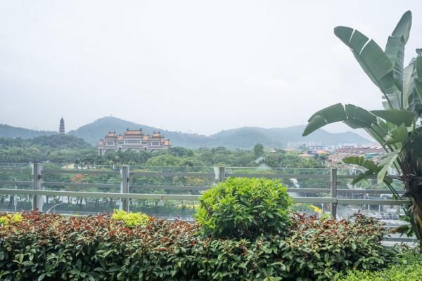 美食与美景并存,美食与美景交相辉映