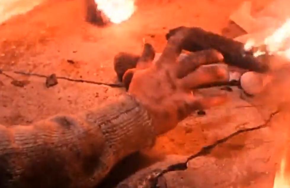 搭错车（酒干倘卖无）