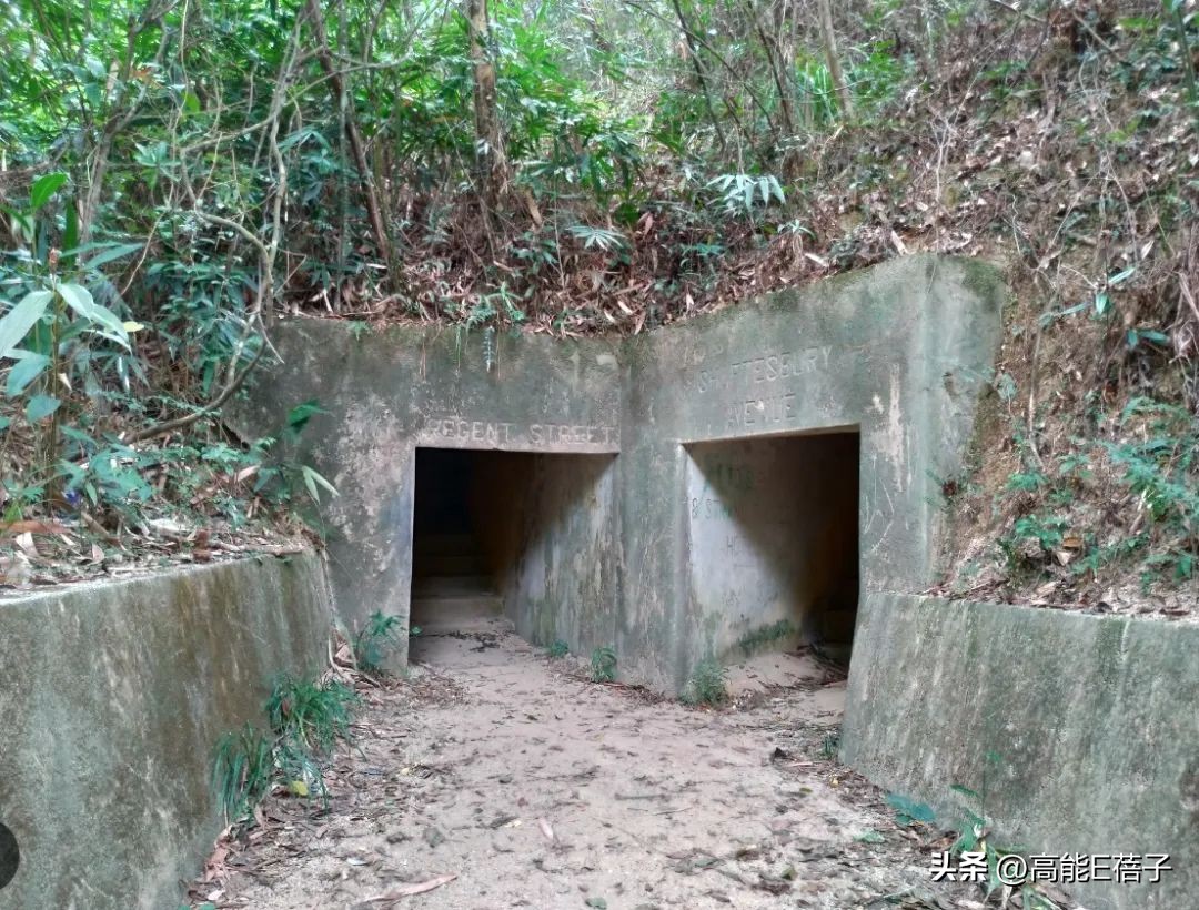 香港奇案单亲母亲报仇,香港奇案之灭门奇案