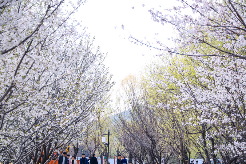 宿州旅游有什么好吃的,宿州旅游攻略景点大全