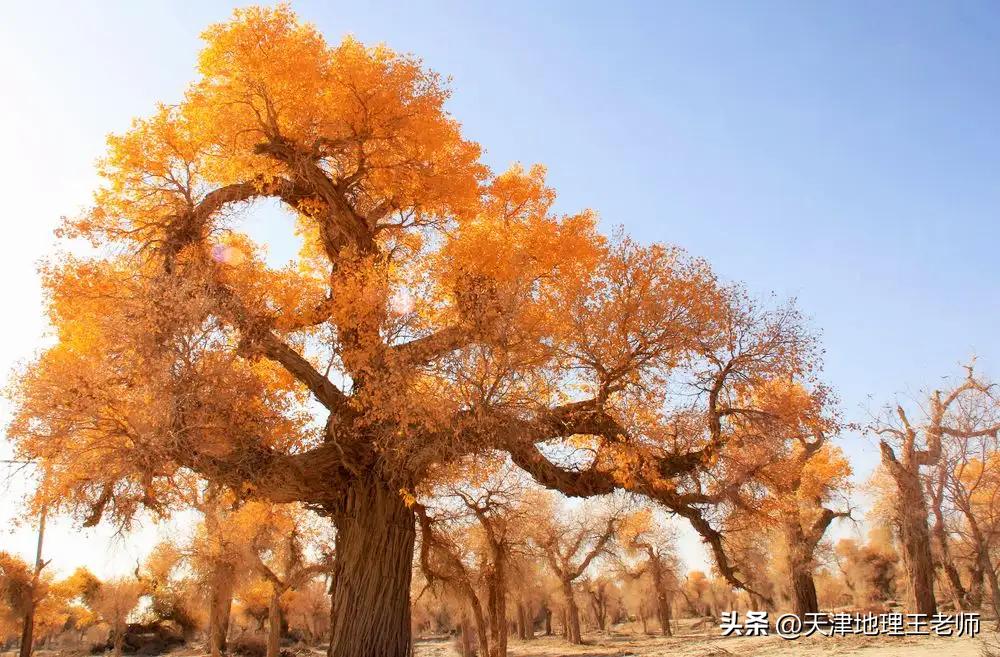 天津部分区2020-2023高二地理期中,2021-2022天津八年级地理期末试卷