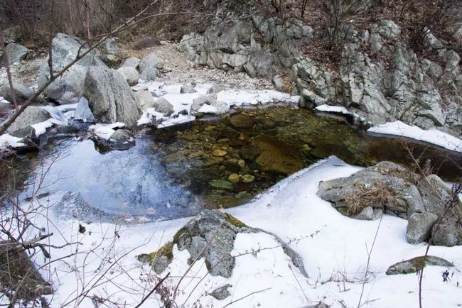 冬天寻访秦岭大峪，不但还有古道遗迹可循，还能见到这条野生广告