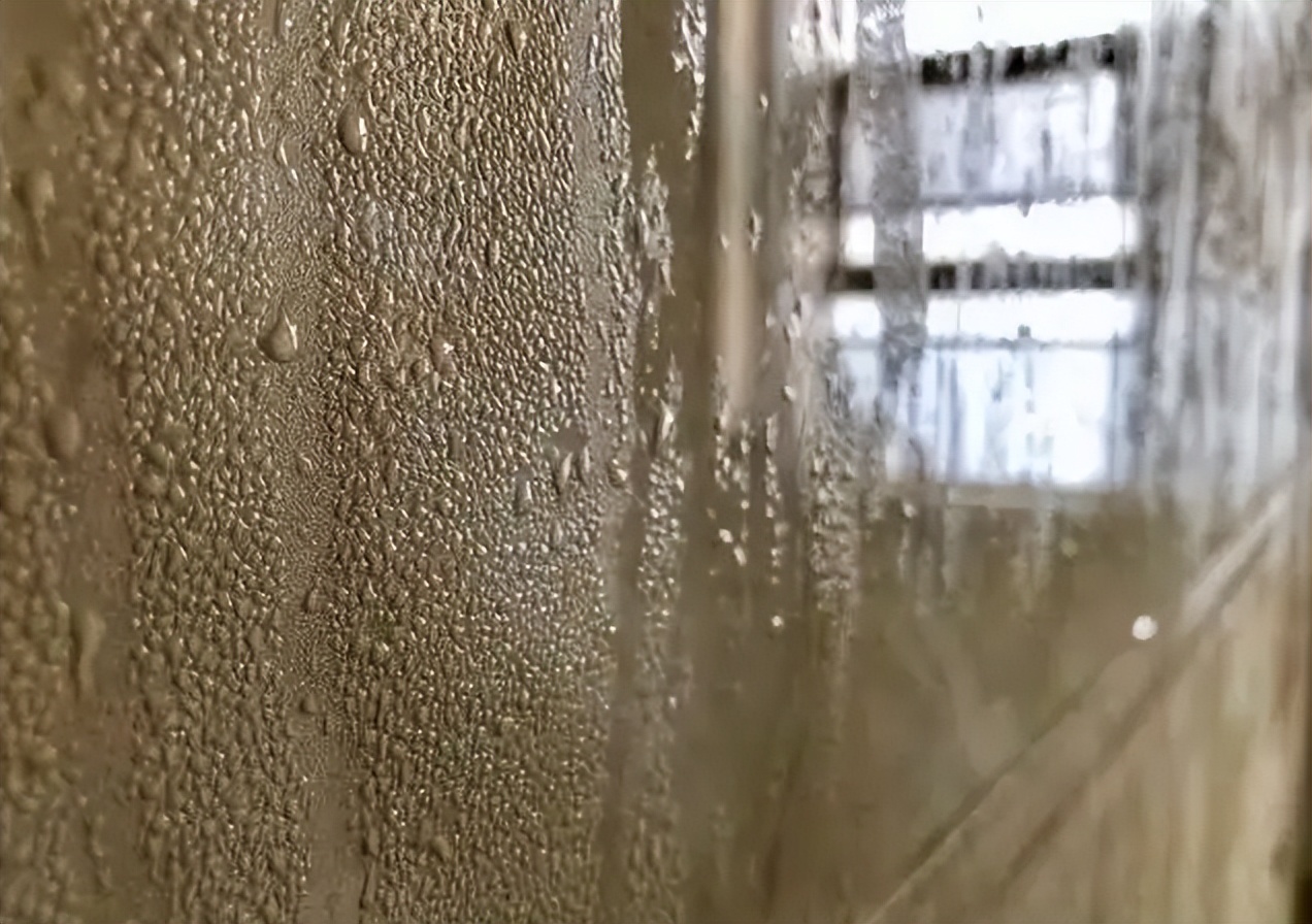 真香警告手机,真香警告的原文