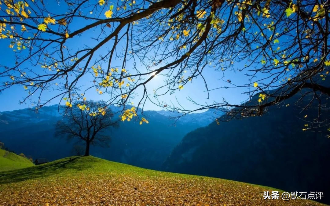 黄金走势和美联储加息,美联储会议黄金走势预测