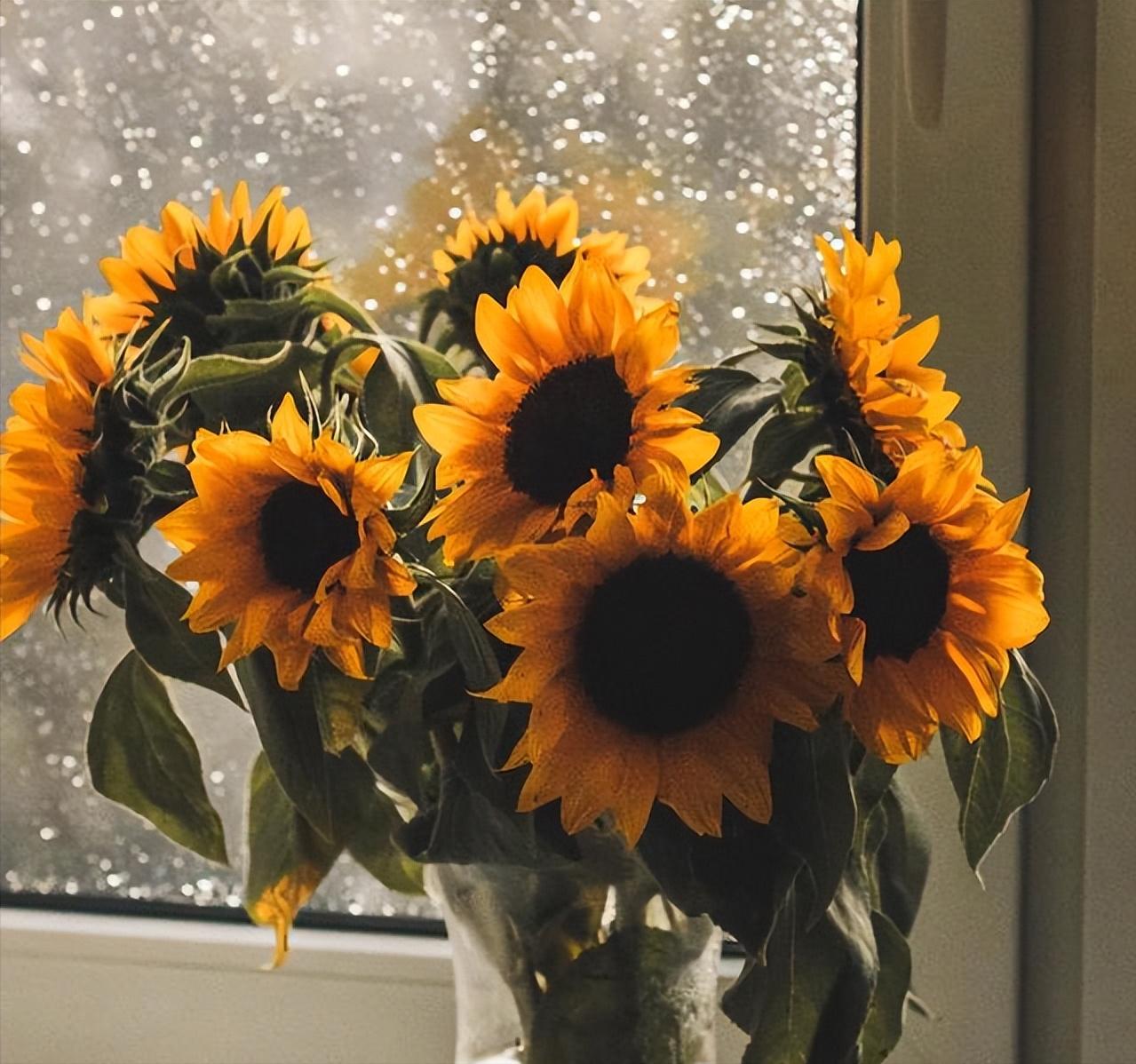 女人想你了的四句话,女人想你了有哪些暗示