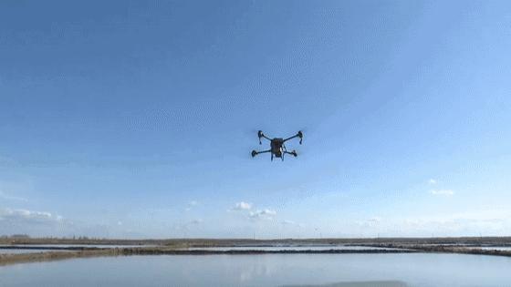 沿着总书记的足迹丨历“玖”弥新“成”就好米