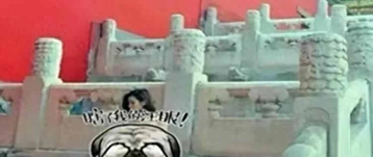 女子无耻举动遭人唾弃完整版,女子无耻举动遭人唾弃