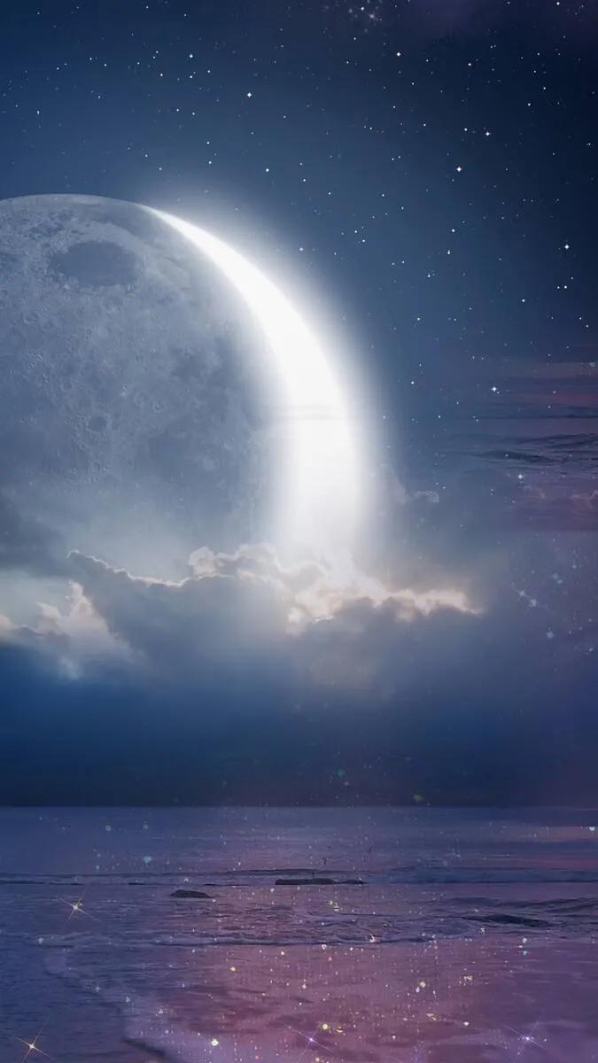 月亮与花唯美意境图高清壁纸,唯美月亮情侣手机壁纸