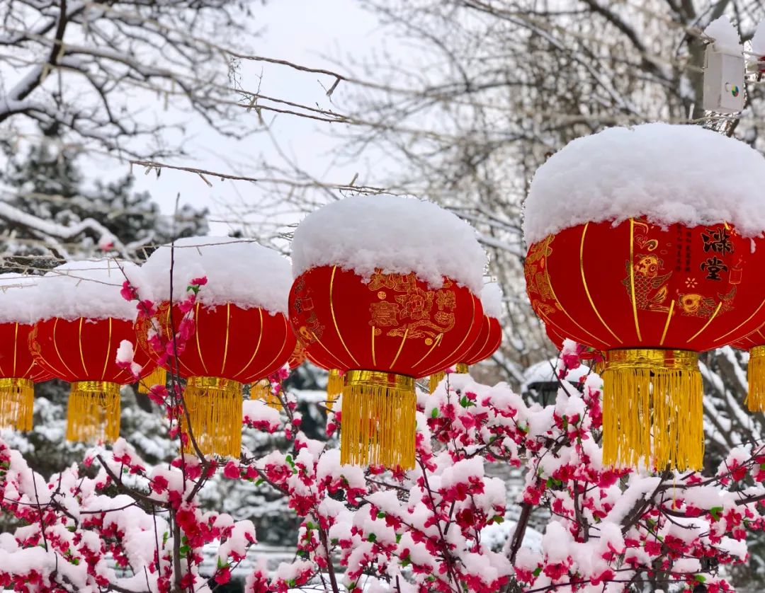 美丽的人民日报大院，我们温暖的家