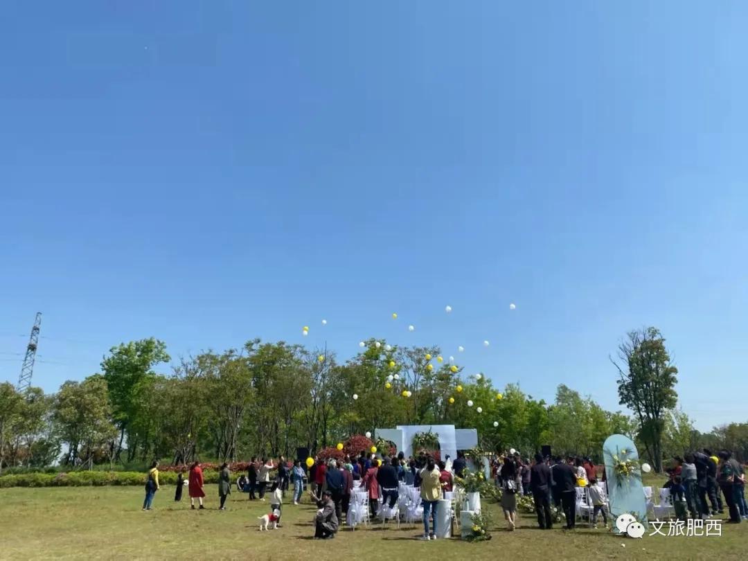 原来，在社交平台中，肥西的真实风景是这样的