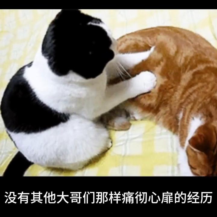 今日话题男朋友不上进该不该分手,今日话题男朋友不上进