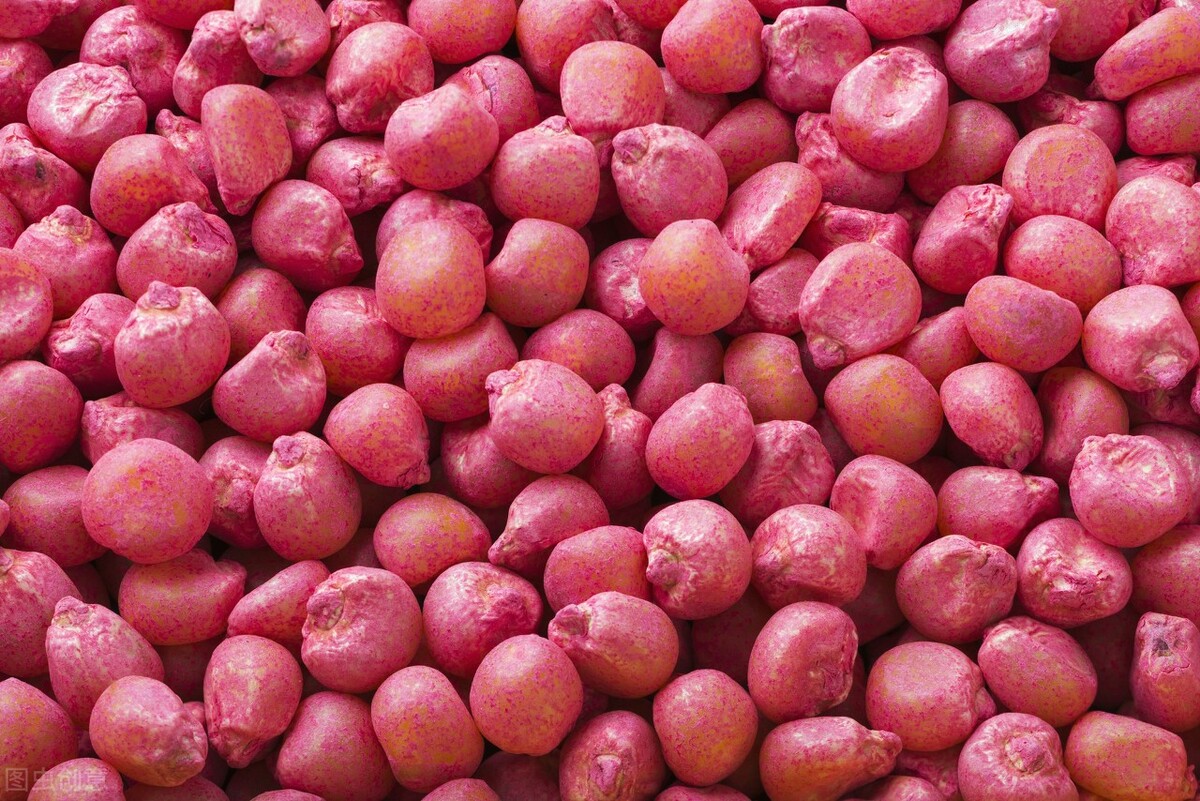 玉米品种撤销审定,农业部撤销312个种子品种