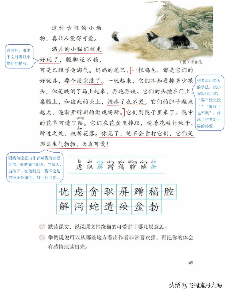 四下语文13课猫课堂笔记,四年级语文下册13课猫课后练习题