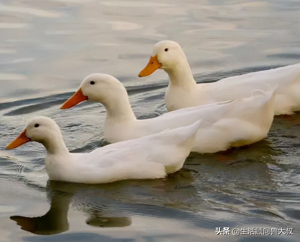 北京市的世界文化遗产有哪些,首批农业文化遗产