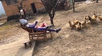 如何评价这个女主持人，主持了一半把*袜丝**脱了？